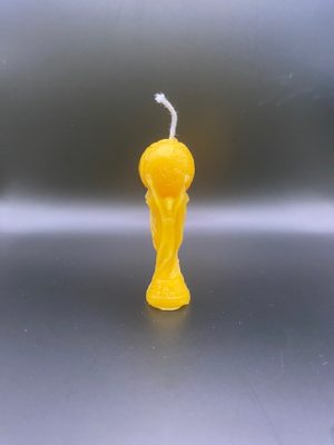 11-Coupe du monde Coupe du monde