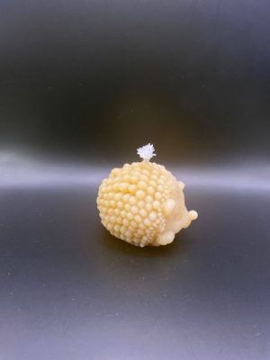 13 - Herisson grand Hérisson grand