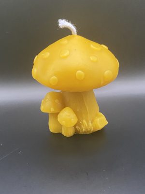 428 - Amanite tue-mouches Champignon Amanite