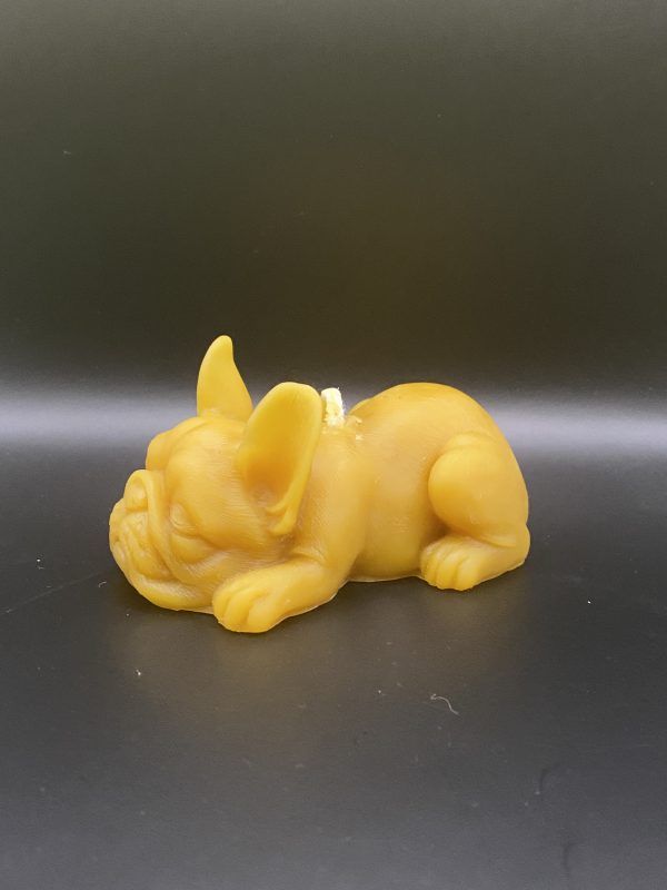 Bouledogue couché M