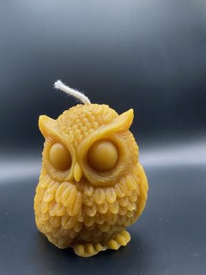 461 - Hibou gros yeux Hibou grand yeux