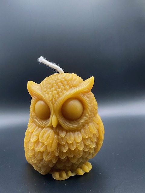 461 - Hibou gros yeux Hibou grand yeux