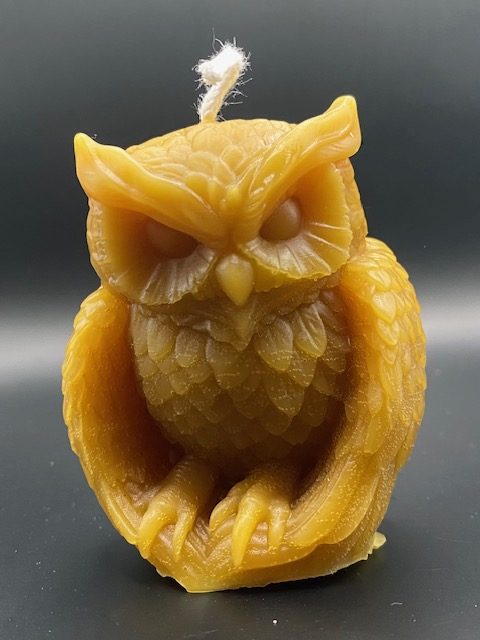 462 - Hibou gros pas content Hibou regard noir