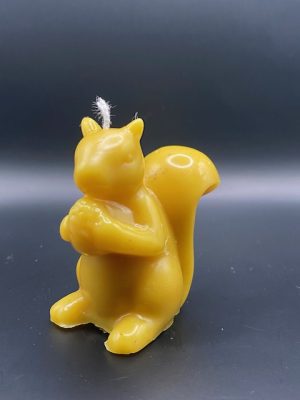 469 - Ecureuil Noisette Ecureuil