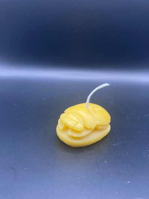 478 - Scarabée Egyptien Scarabée Egyptien