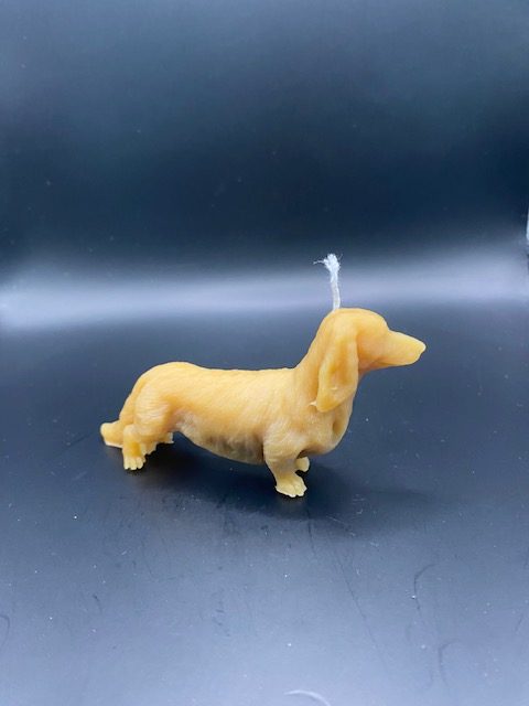 495 - Chien Teckel Chien Teckel