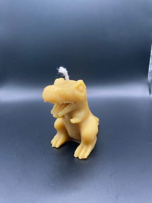 496 - T-Rex petit TRex S