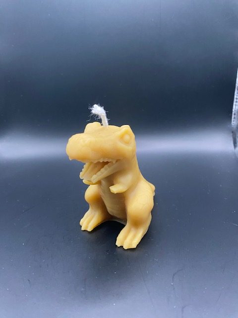 496 - T-Rex petit TRex S