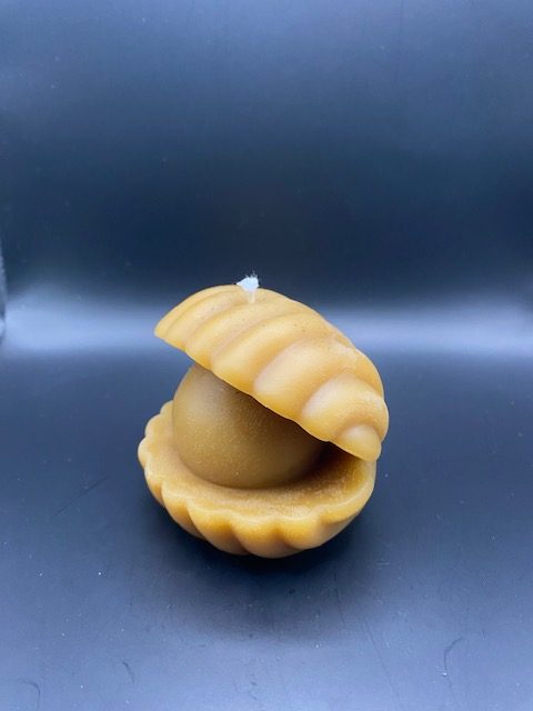 497 - Huitre perle Huitre perle