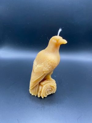 500 - Corbeau Corbeau