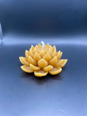 508 - Lotus Grand Fleur de lotus M