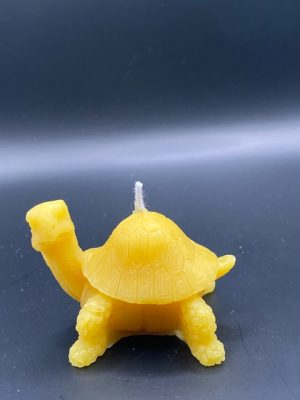 133 - Tortue Grande Tortue terrestre M