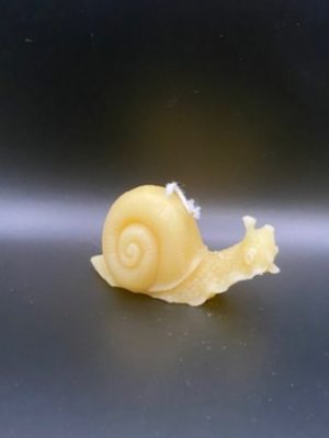 15 - Escargot Escargot