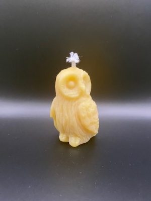 164 - Chouette Assise Chouette assise