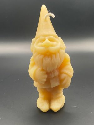 169 - Nain Jardin Nain de jardin