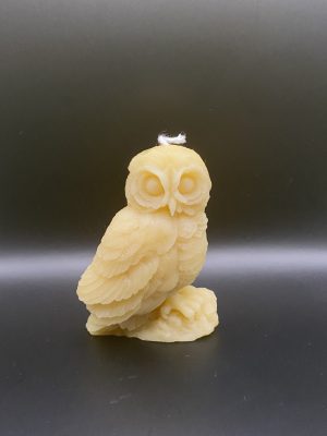 19 - Chouette Grande Bois Chouette sur branche L