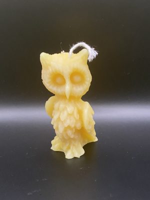 23 - Hibou Grand Hibou fin