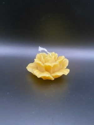 39 - Rose Grande Rose M