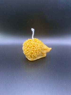 55 - Herisson Hérisson M