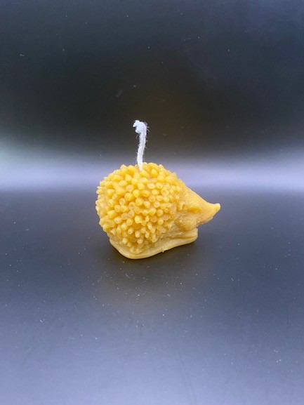 55 - Herisson Hérisson M