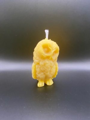 43 - Chouette Grande Chouette Grande