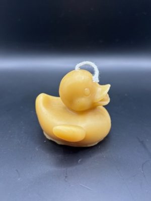 45 - Canard Canard