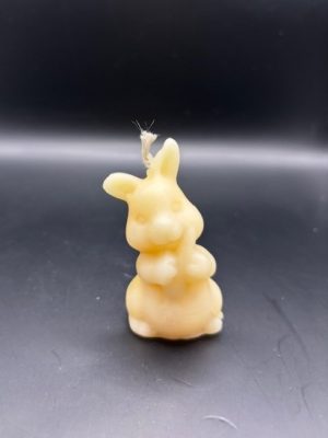 46 - Lapin Carotte Lapin carotte