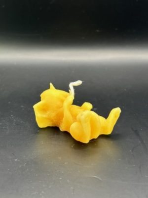 Chat jouant sur le dos