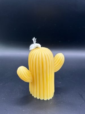 48 - Cactus Grand Cactus M