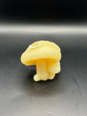 57 - Champignon Champignon