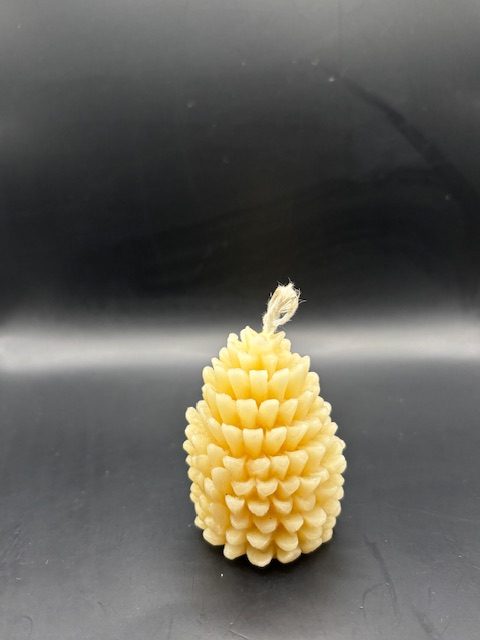 IMG_1514 Sapin Noel 2