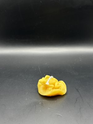 Grenouille sur feuille