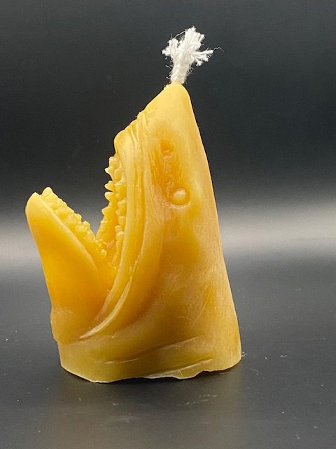 Requin Dent de la mer