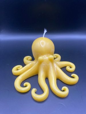 Poulpe Pieuvre