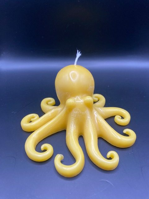 Poulpe Pieuvre