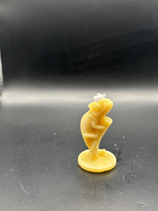 Caméléon Petit Branche