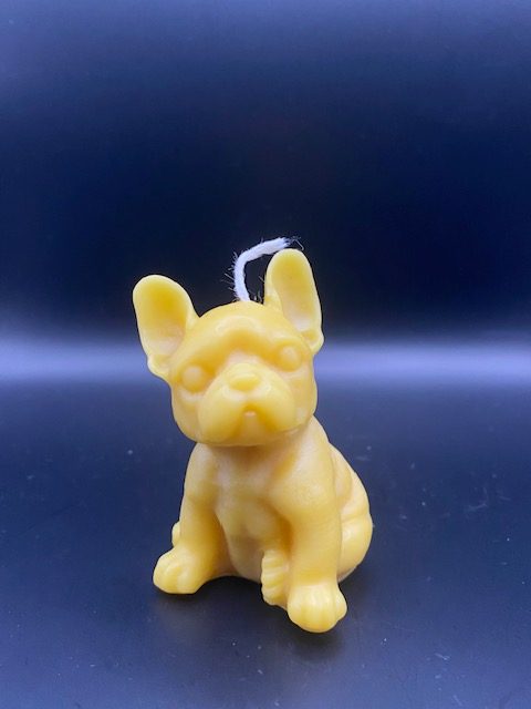 Bouledogue français entier