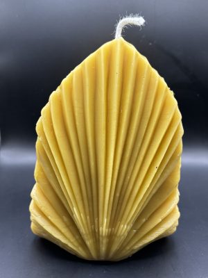 Bougie Deco Gd sydney