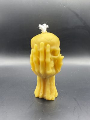 Tete Mort dans mains