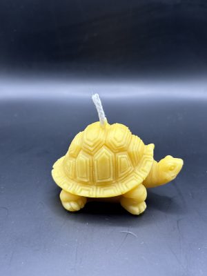 Tortue très grande gros relief