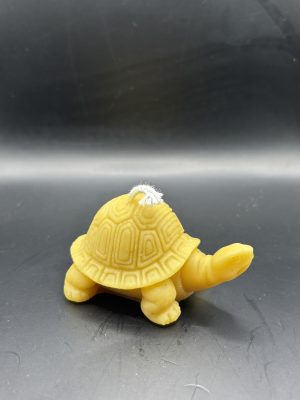 Tortue très grande petit relief