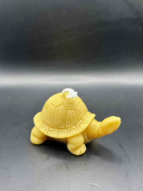 Tortue très grande petit relief