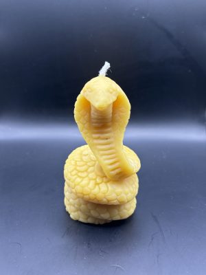 Serpent Cobra Dressé