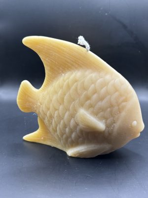 Poisson exotique XL