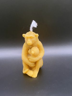 Chimpanze avec Bébé