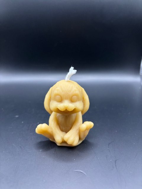 Lapin assis oreille baissée