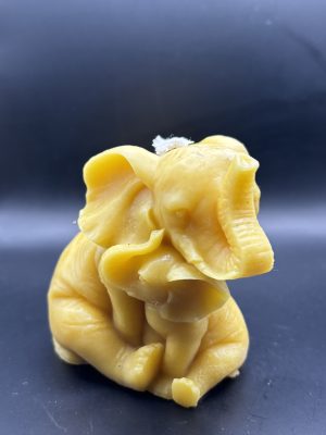 Eléphant avec Bebe trompe en l'air