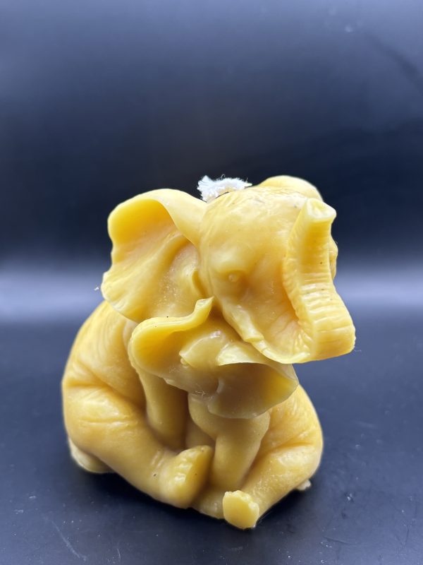 Eléphant avec Bebe trompe en l'air