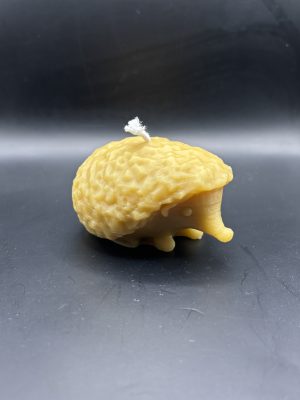 Hérisson Très Grand