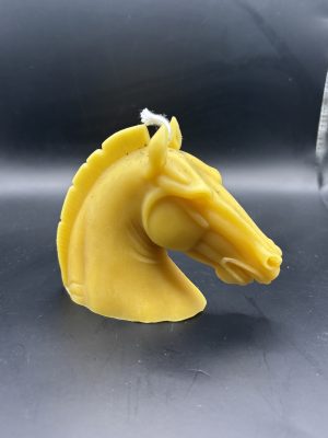 Tête cheval moyenne